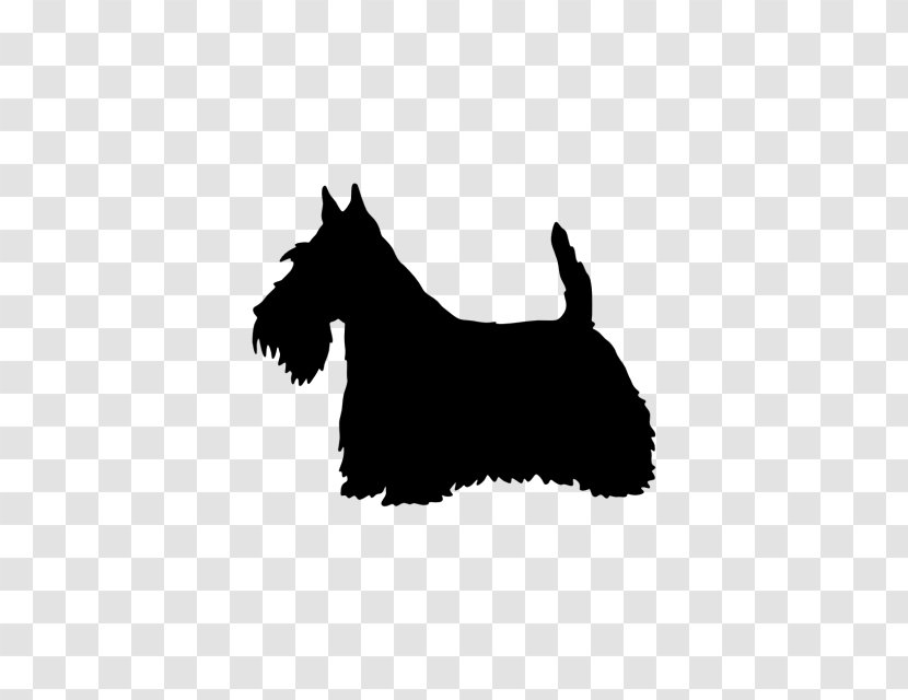 Scottish Terrier West Highland White Border Staffordshire Bull Scotland - Mammal Transparent PNG