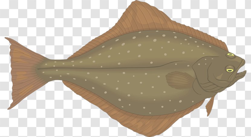 Flounder Halibut Fish Clip Art - Cod - Peces Transparent PNG