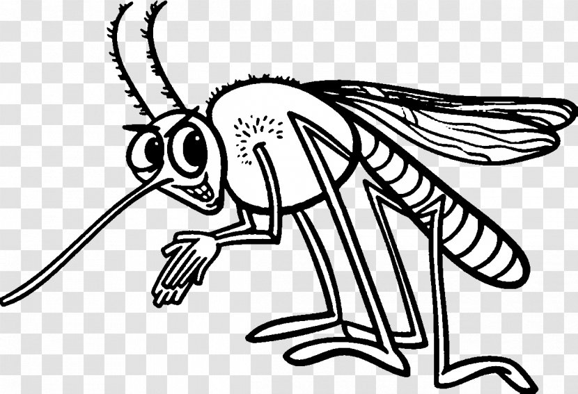 Mosquito Insect Coloring Book Clip Art - Black And White Transparent PNG