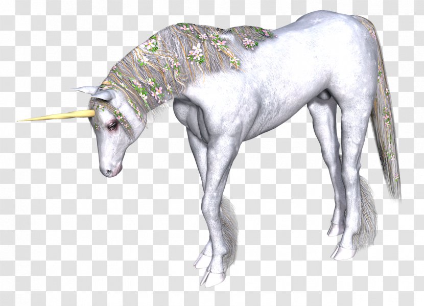 Unicorn Fairy Tale Legendary Creature Transparent PNG