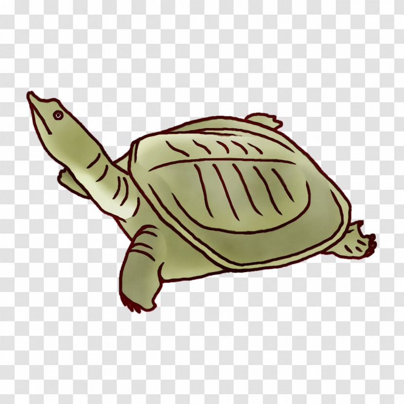 Chinese Softshell Turtle 四季の蔵 食楽亭 Champon Collagen Cuisine Transparent PNG