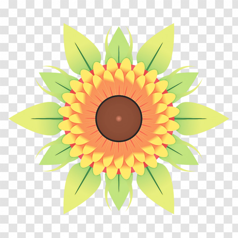 Floral Design Transparent PNG