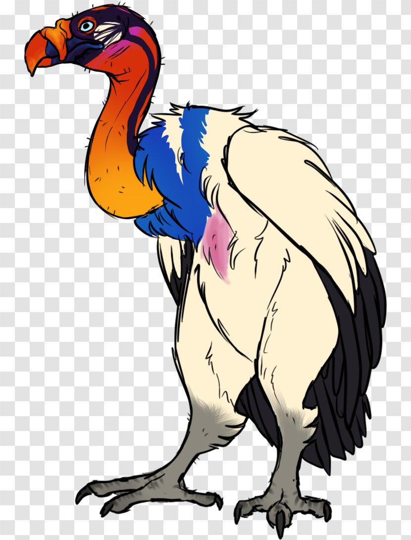 Clip Art King Vulture Bird Beak - Organism Transparent PNG