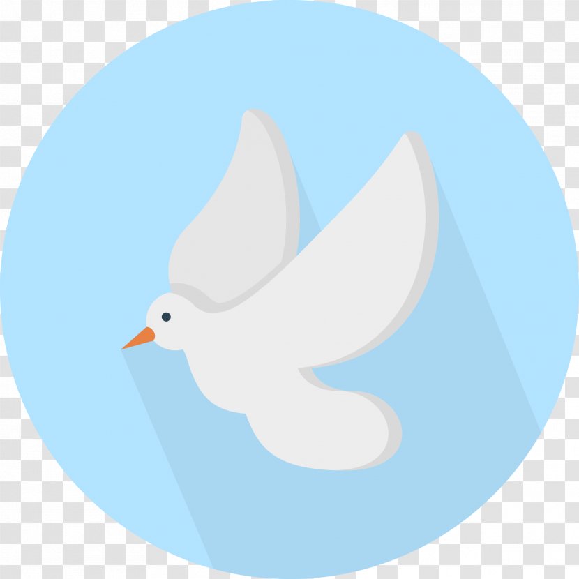 Bird - Ducks Geese And Swans Transparent PNG