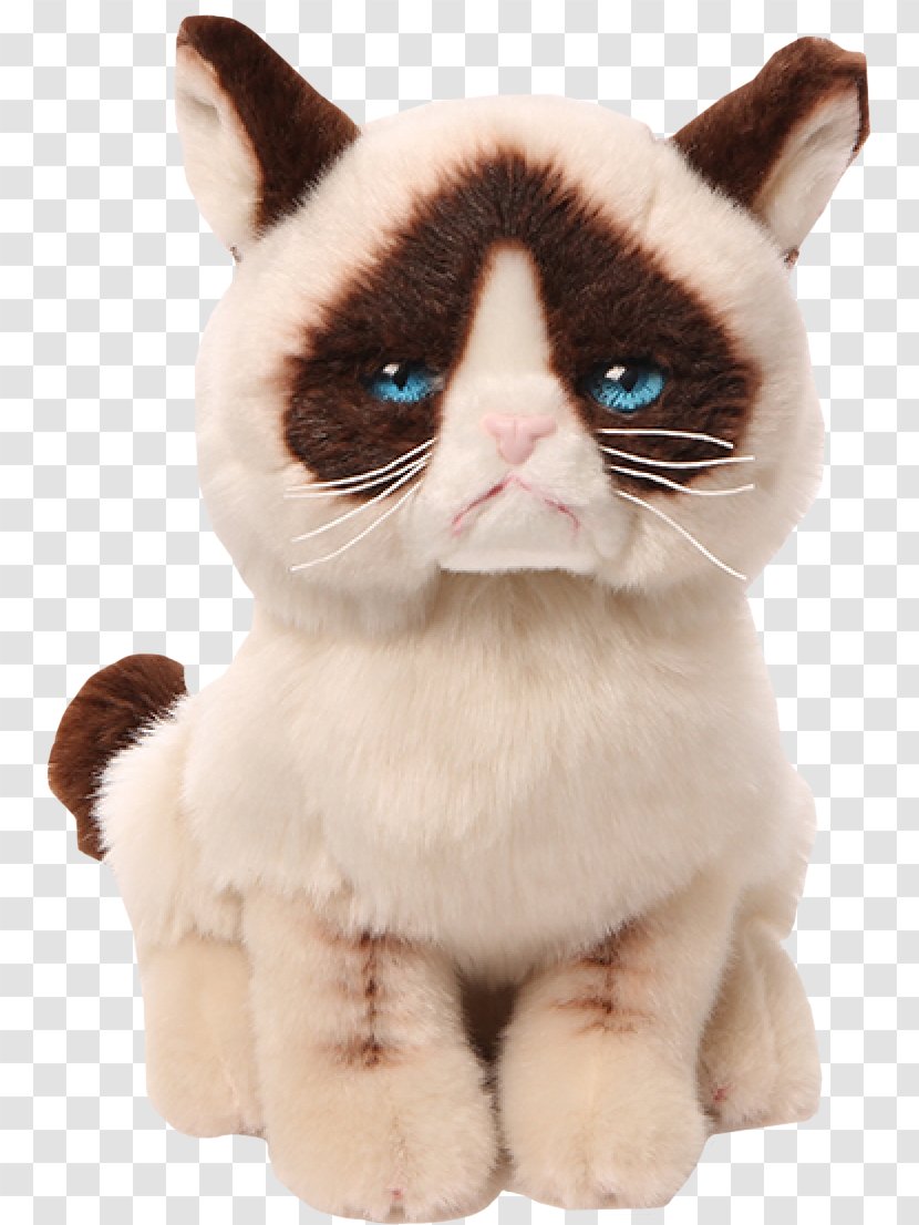 Amazon.com Stuffed Animals & Cuddly Toys Grumpy Cat Gund - Frame Transparent PNG