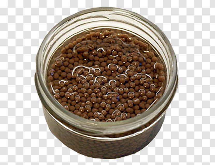 Caviar Commodity Superfood - Nori Seaweed Transparent PNG