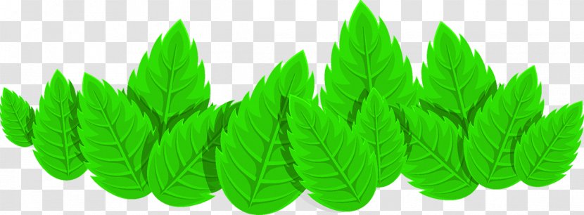 Dietary Supplement Nutrition Growth Hormone Arteriosclerosis Organism - Mineral - Green Leaves Transparent PNG