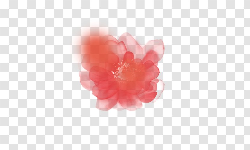Watercolor Painting Pink - Flower - Peach Transparent PNG