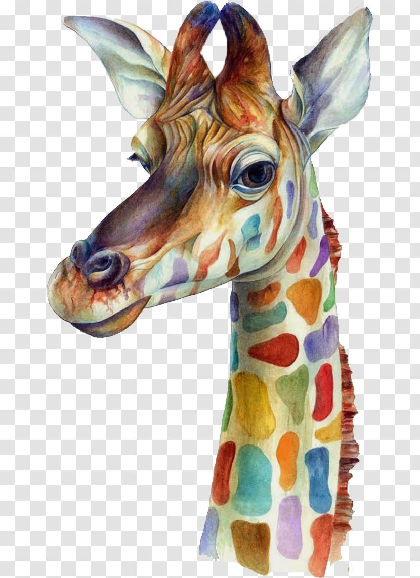 IPhone 6 Plus 5 4S 7 - Canvas - Watercolor Giraffe Transparent PNG