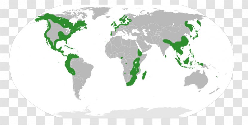 World Map Microsoft PowerPoint Image - Green Transparent PNG