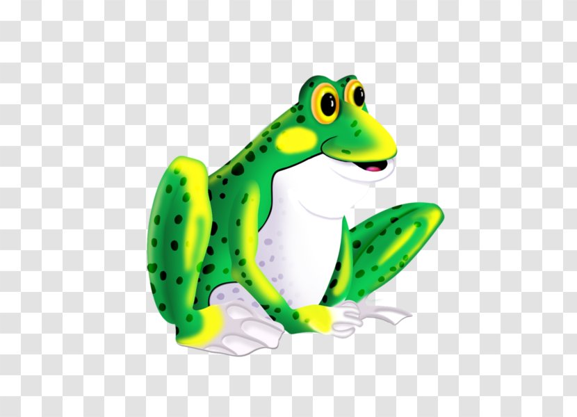 Edible Frog True Pool - Lithobates Clamitans - A Transparent PNG