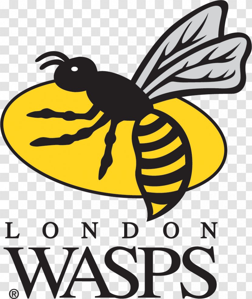 Wasps RFC London Irish Leicester Tigers English Premiership Ricoh Arena - Brand - Wasp Transparent PNG