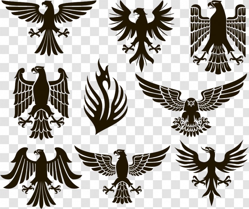 Eagle Heraldry Stock Photography - Illustration Transparent PNG