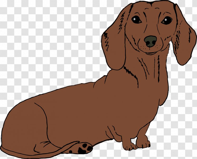 Dachshund Puppy Dog Breed Companion Hound - Cartoon - Dogs Transparent PNG