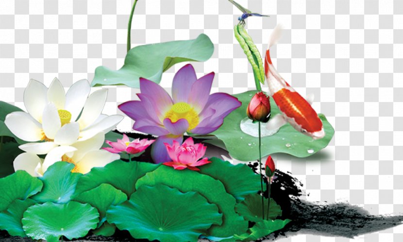 Nelumbo Nucifera Chinoiserie Poster - Petal - Lotus Chinese Wind Element Transparent PNG