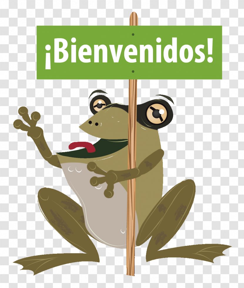 Natural Environment Organization Tree Frog Education Fauna - Vertebrate - Sendero Symbol Transparent PNG