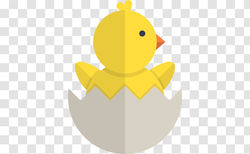 Duck Chicken Clip Art - Beak - Chick Transparent PNG