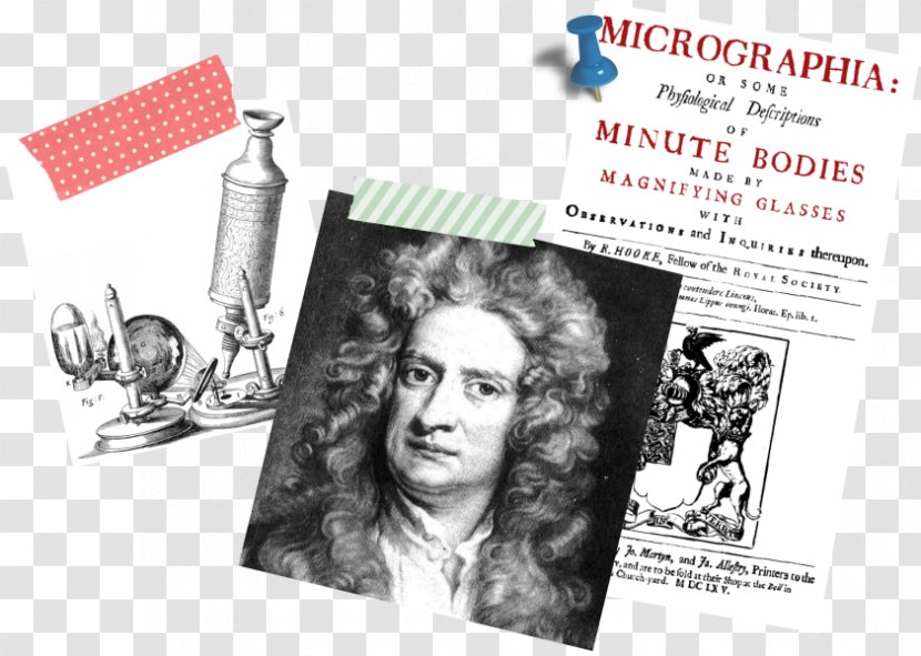 Robert Hooke Cell Scientist Microbiology Microscope - Brand Transparent PNG