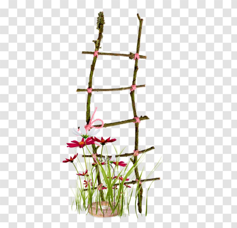 Computer Graphics Clip Art - Floral Design - Ladder Transparent PNG