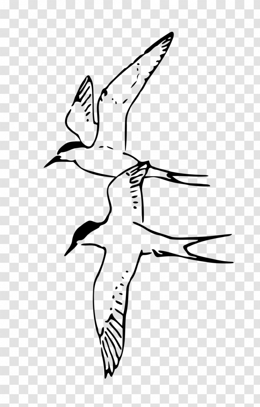 Bird Drawing Line Art Clip - Artwork - Flying Transparent PNG