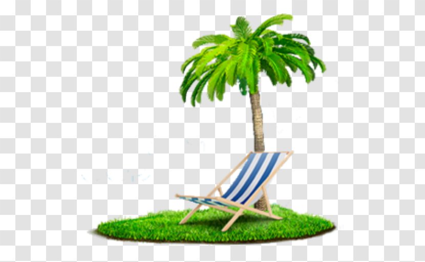 Beach Shore - Apartment - Palm, Chair, Transparent PNG