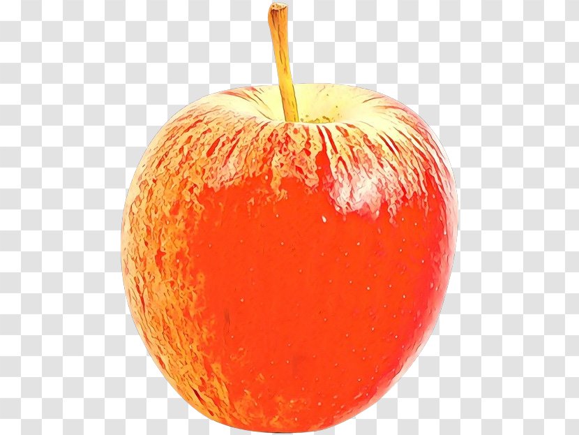 Orange - Food - Peach Malus Transparent PNG