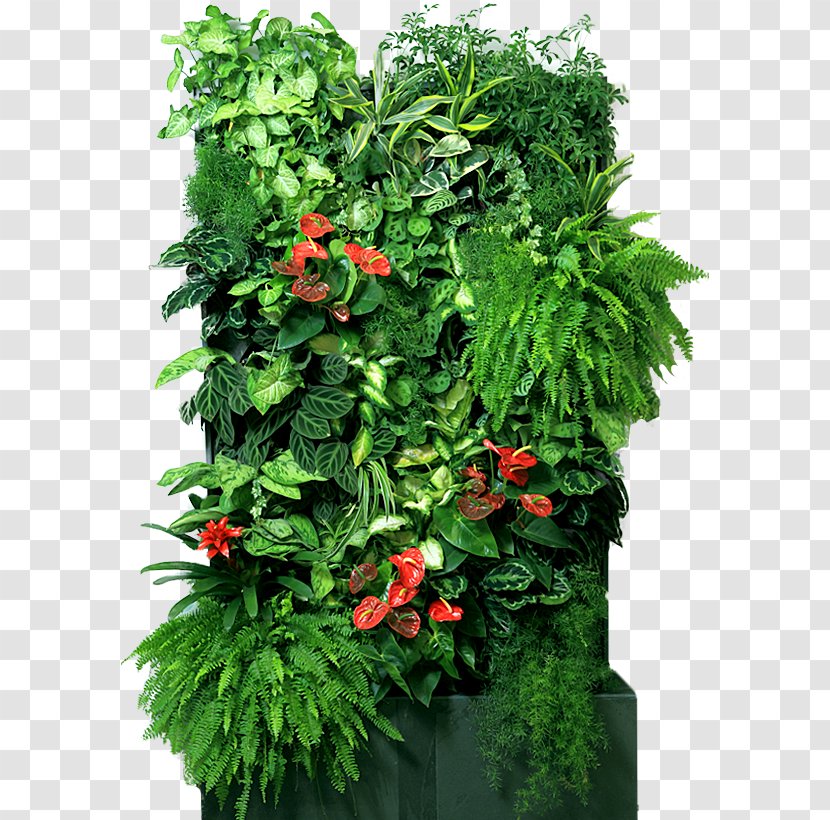 Houseplant Flowerpot Green Wall Garden - Flower - Vertical Transparent PNG