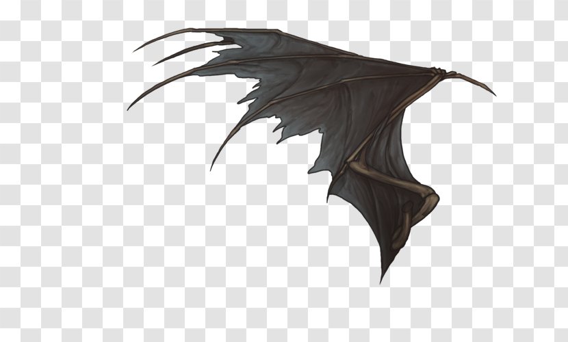 Legendary Creature - Lion Wings Transparent PNG