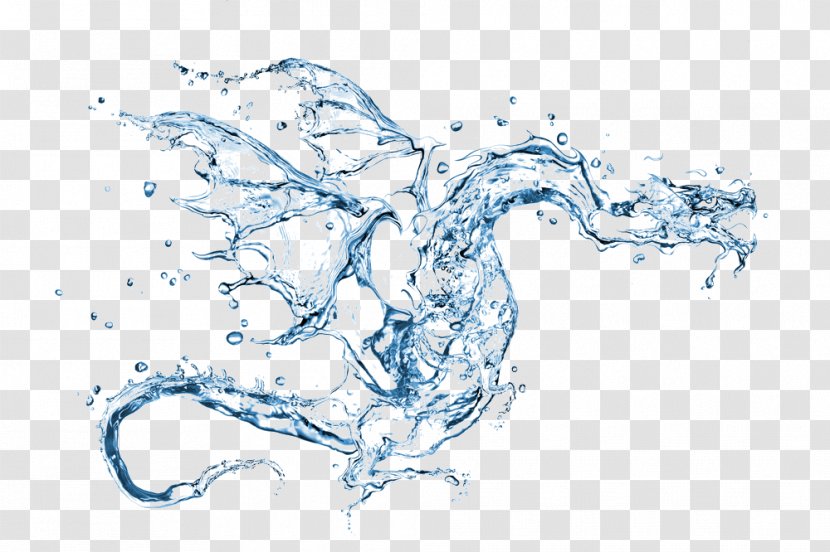 Dragon Water Stock Photography Royalty-free - Point - Chinese Transparent PNG