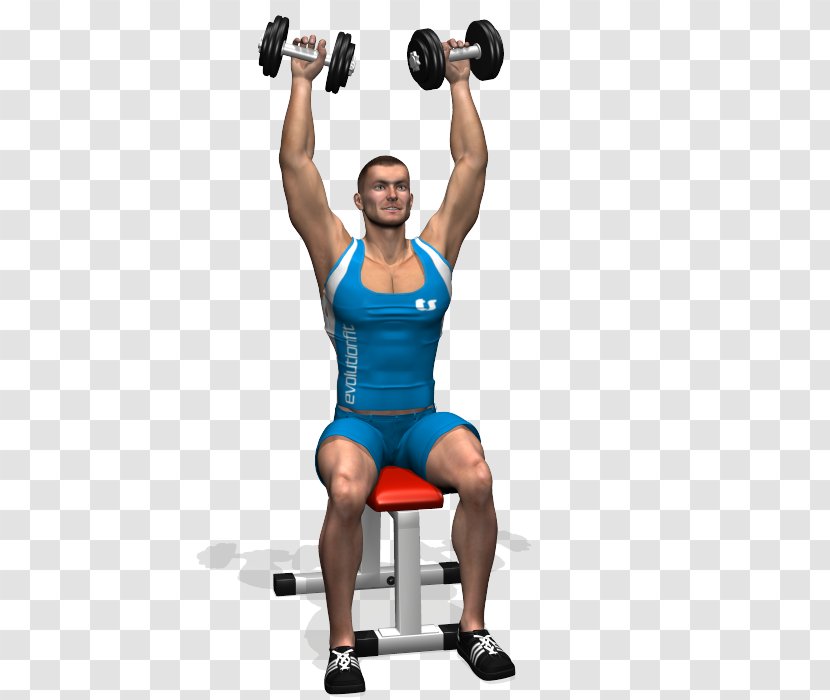 Weight Training Dumbbell Exercise Overhead Press Fly - Flower Transparent PNG