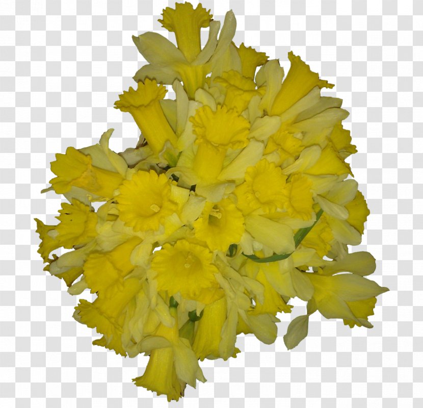 Cut Flowers Chrysanthemum Wedding Yellow - Snapdragons - YELLOW Transparent PNG