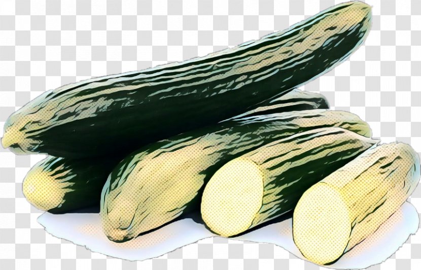 Summer Plant - Zucchini - Cucumis Armenian Cucumber Transparent PNG