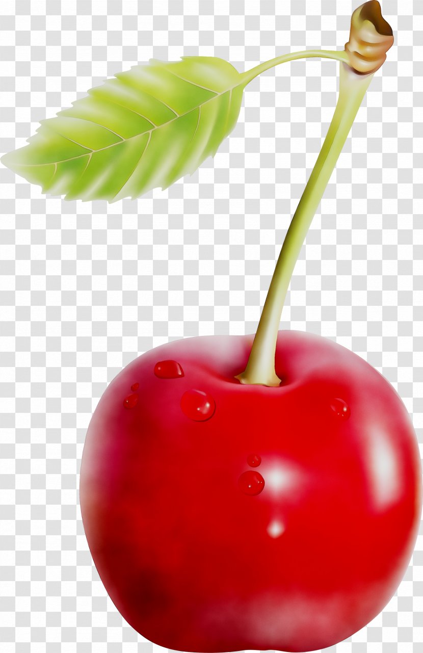 Superfood Apple Natural Foods - Acerola Family Transparent PNG