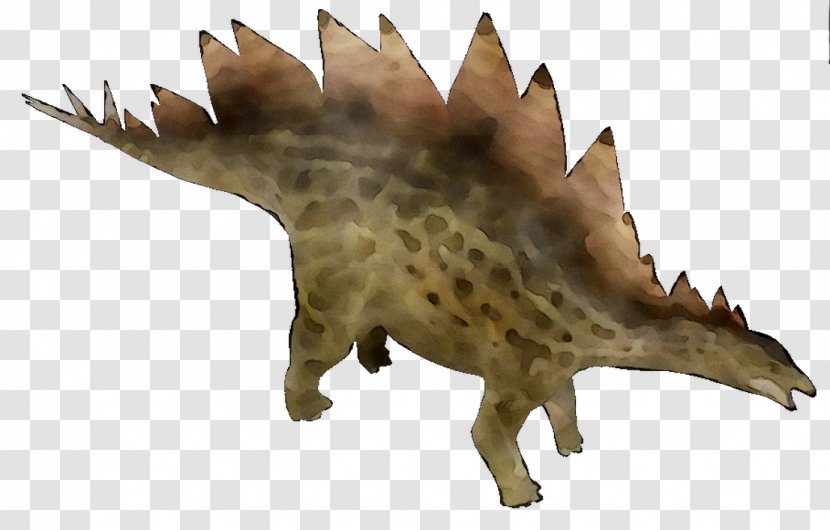Dinosaur Fauna Terrestrial Animal Snout Transparent PNG