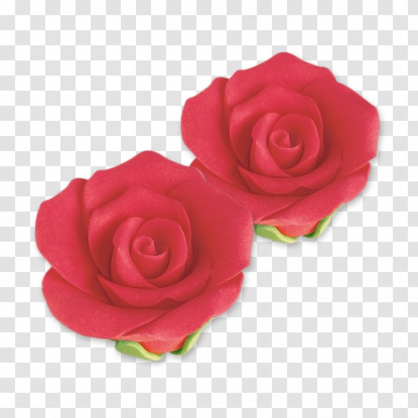 Garden Roses Cabbage Rose Floribunda Cut Flowers Petal - Rot Transparent PNG
