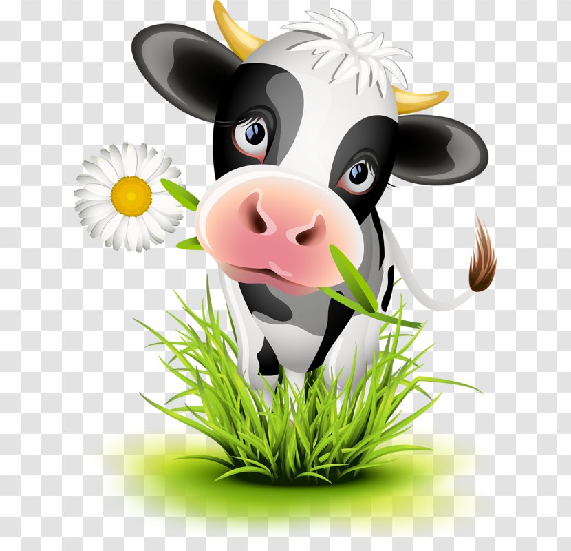 Cattle Calf Cartoon Illustration - Cow Transparent PNG
