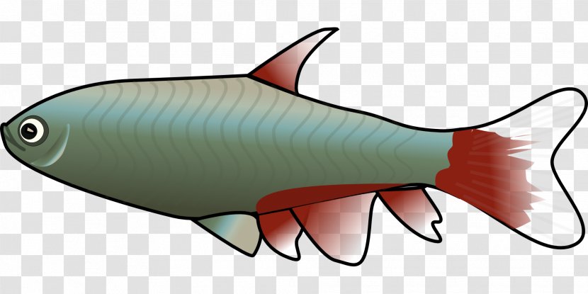Fish Clip Art - Cartilaginous - Fishing Transparent PNG