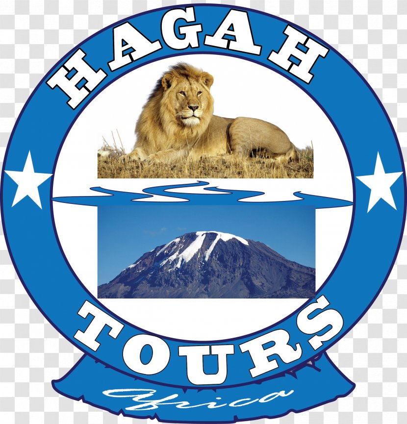 Matosa Secondary School Travel Agent Tour Operator Dar Es Salaam - Logo - Carnivoran Transparent PNG