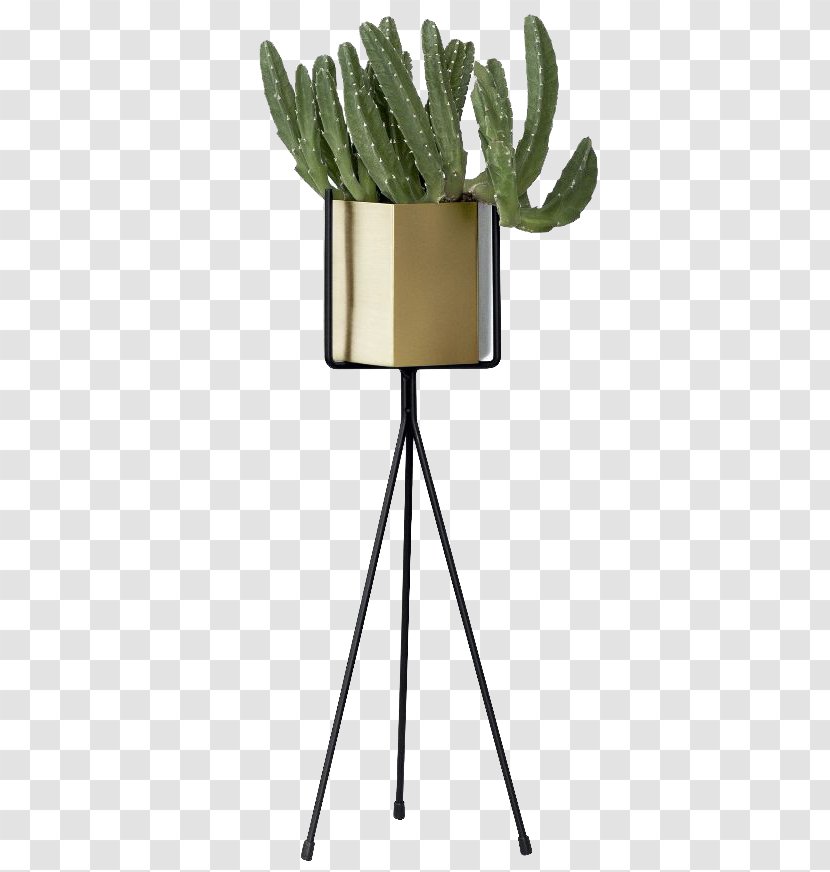 Plant Flowerpot Ferm LIVING ApS Color - Interior Design Services - Mexico Potted Cactus Transparent PNG