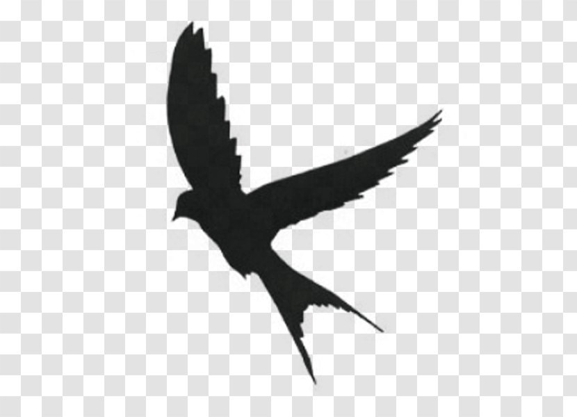 Silhouette Mockingbird Swallow - Drawing Transparent PNG
