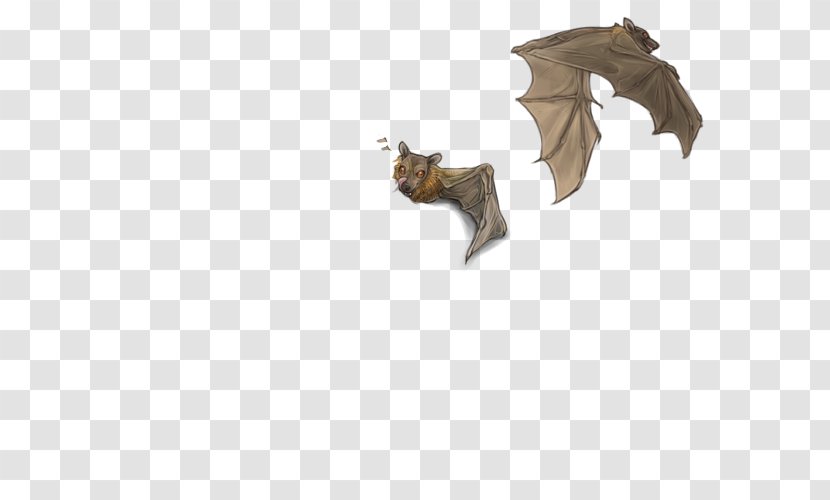 Canidae Dog Fauna BAT-M Mammal Transparent PNG