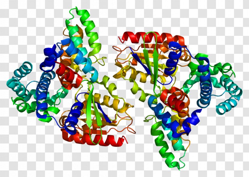 RGS16 Regulator Of G Protein Signaling GNAI2 - Watercolor - Cartoon Transparent PNG
