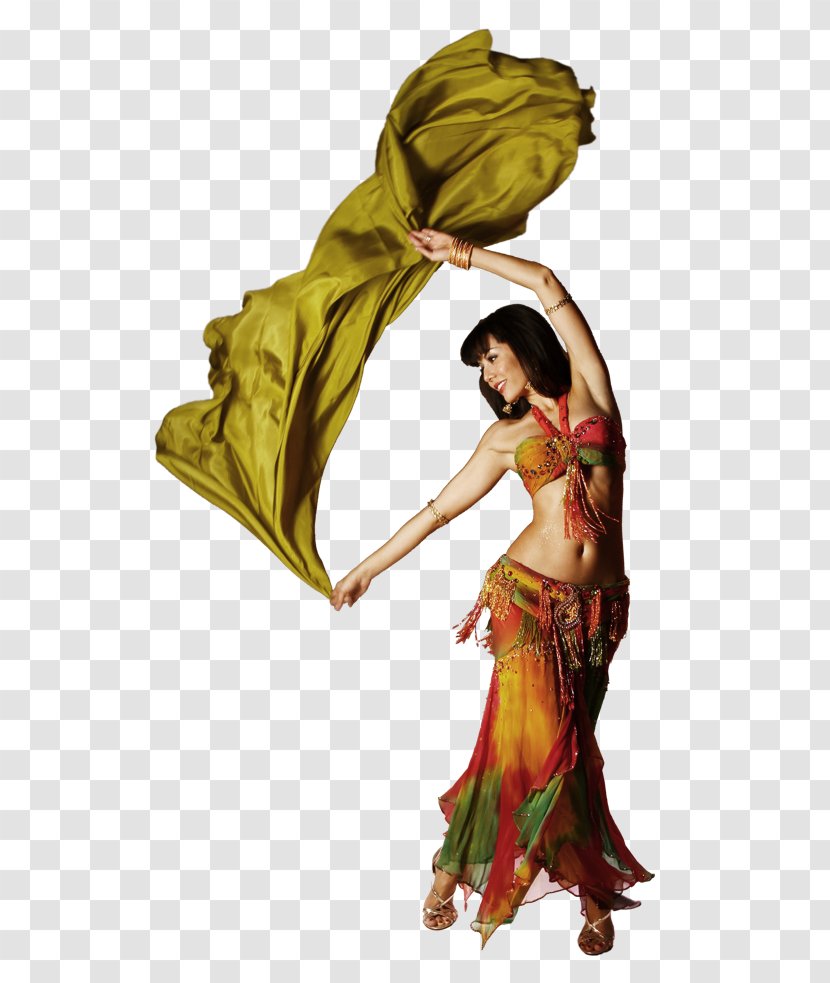 India Design - Belly Dance - Costume Plant Transparent PNG