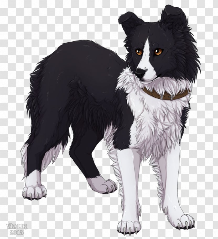 The Border Collie Survivors Fan Art Drawing - Dog Transparent PNG