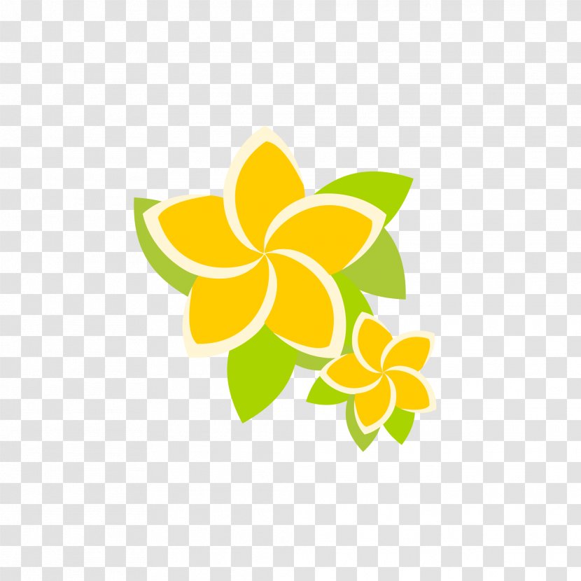 Petal Logo Pollinator Flower - Flora - Frangipani Transparent PNG