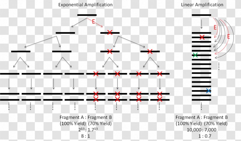 Amplifikacija Polymerase Chain Reaction Write Amplification - Heart - Silhouette Transparent PNG