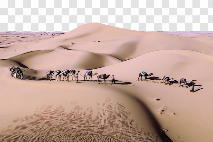 Desert Sand Natural Environment Erg Dune Transparent PNG