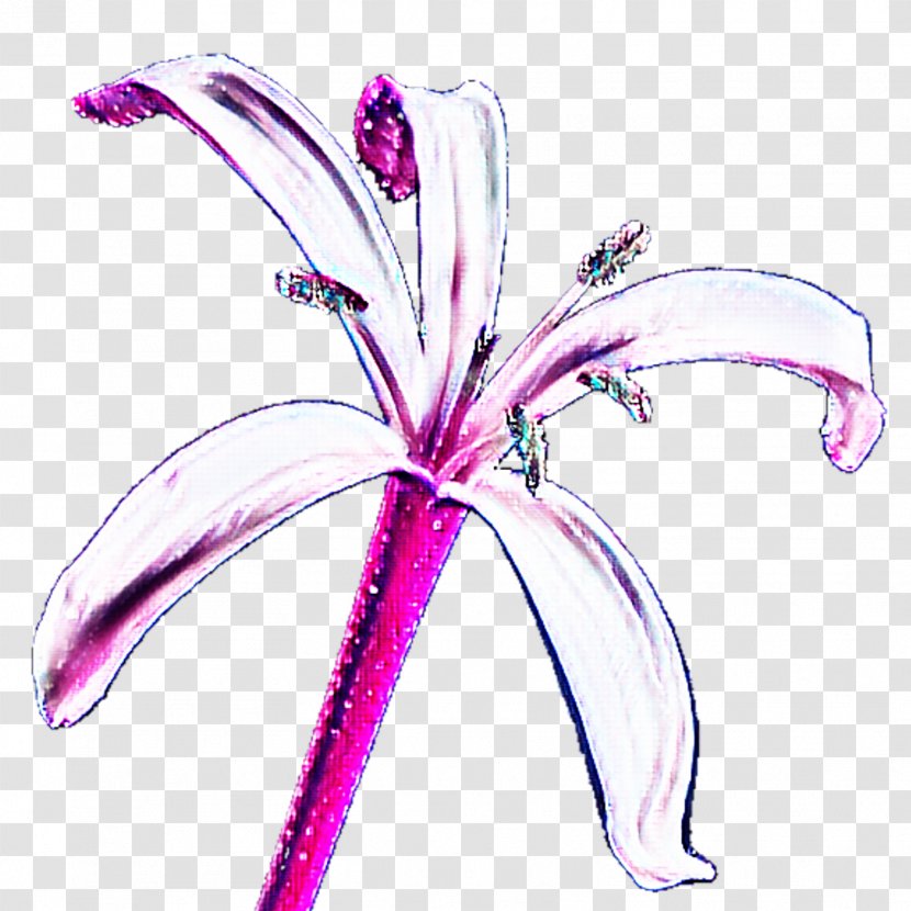 Clip Art Cut Flowers Line Body Jewellery Flowering Plant - Violet - Adobe Illustrator Flower Transparent PNG