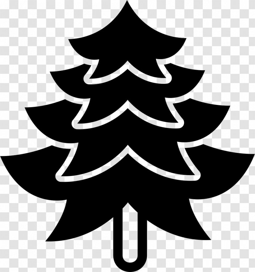Spruce Clip Art Image - Pine - Family Transparent PNG
