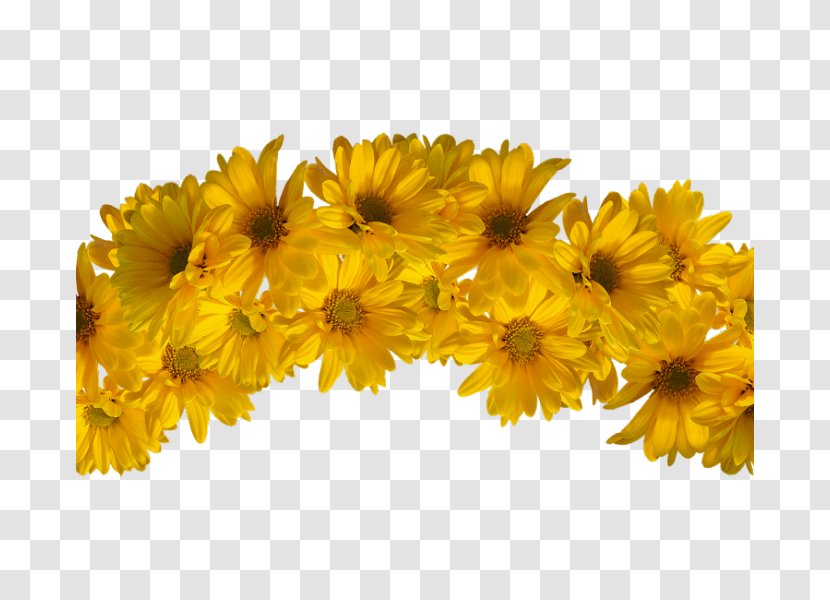 Yellow Wreath Flower Crown Headpiece - Common Daisy Transparent PNG
